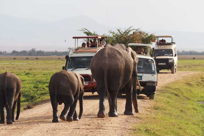 Amboseli Tsavo Safari